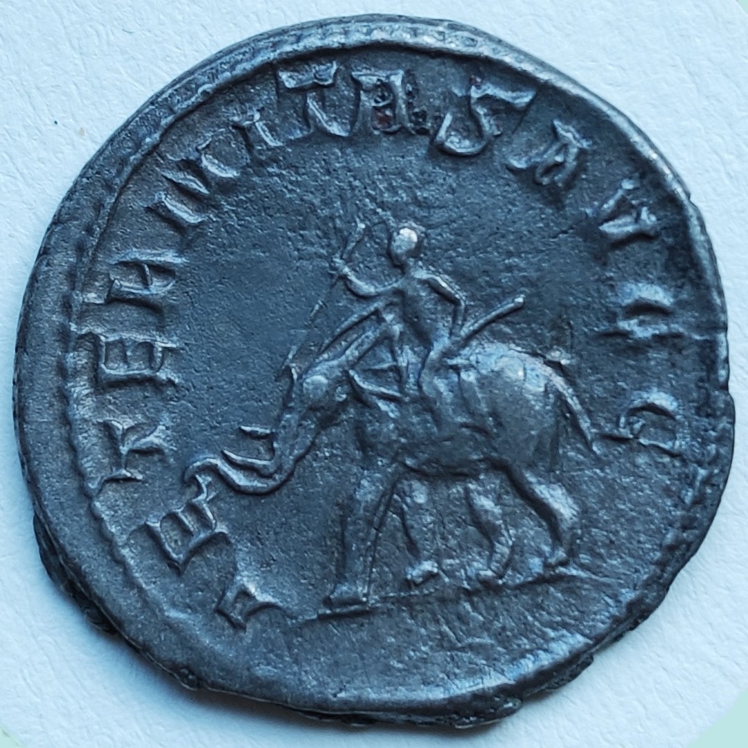 Rückseite